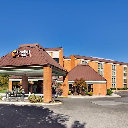 Comfort Inn Virginia Horse Center Lexington Exteriör bild